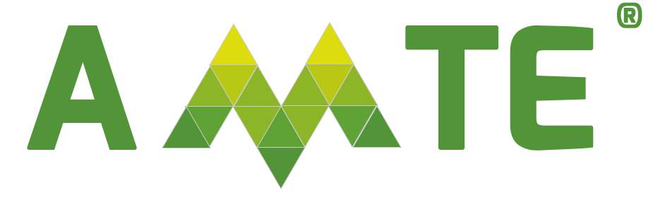 AMTE — Asociación Mexicana de Turismo Educativo